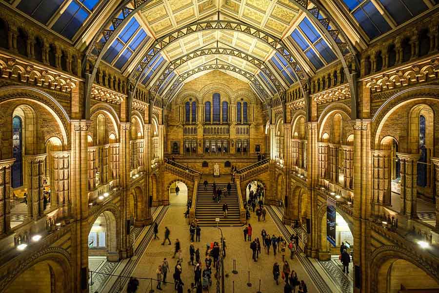 Effort to Integrate Natural History Museum London into Nature Risk&nbsp;Platform