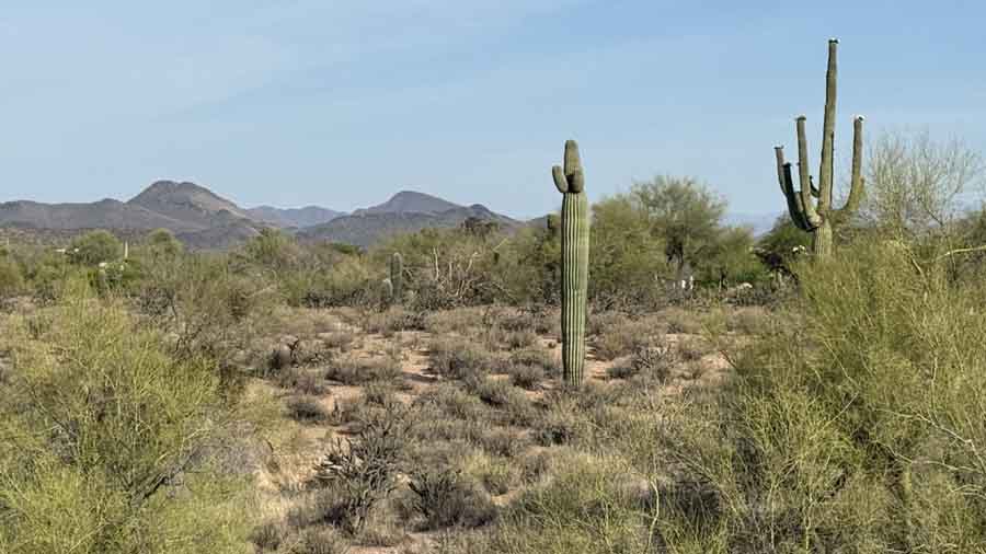 Desert Mountain’s Land Preservation Group Supports Neighbouring Community with&nbsp;Grants