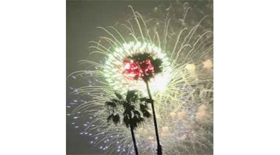 Calls for Cancellation of New Year’s Eve Fireworks to Protect&nbsp;Wildlife