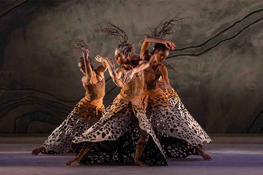 The 2026 Lion Awards for Native Australian&nbsp;Dance