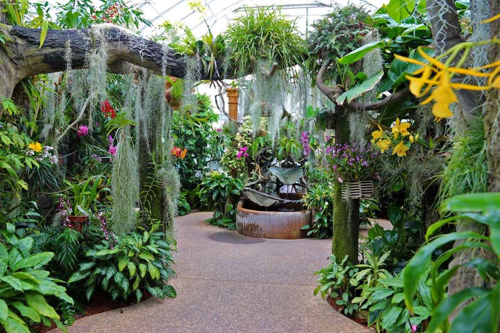 plants-nursery-eric-yuen-freerange-stock