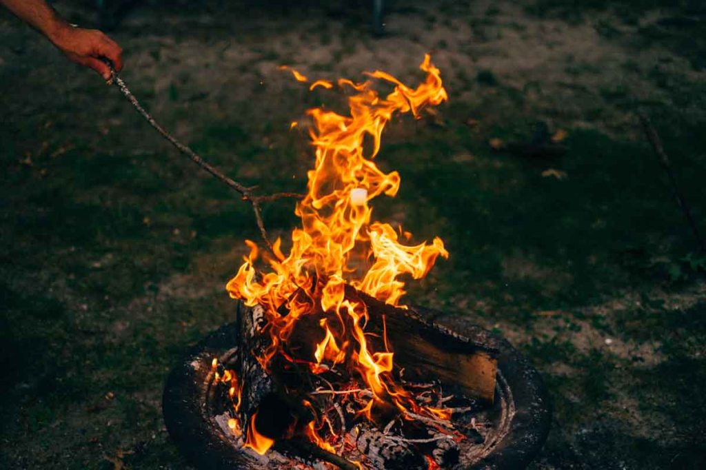Unsplash-Freerange Stock